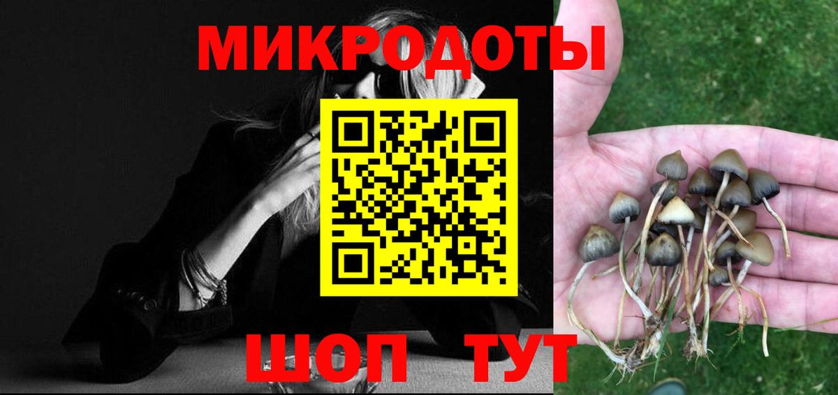 Алексеевка  Псилоцибиновые грибы прущие грибы  даркнет сайт  Вход с VPN 